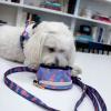 boulevard+pets+lassie+large+travel+bowl+personalized